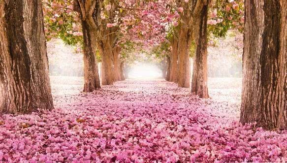 还记得当年那个《非诚勿扰》的“拜金”女孩吗？她现在怎么样了？