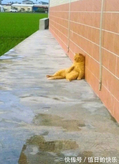 |爆笑段子：女领导谈了个男朋友，第一次去男朋友家，回来就分手了