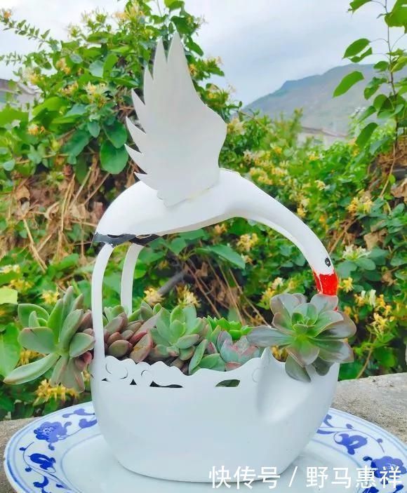 花友|花盆不用买,变废为宝做一个,比买的还好看,分分钟惊艳朋友圈