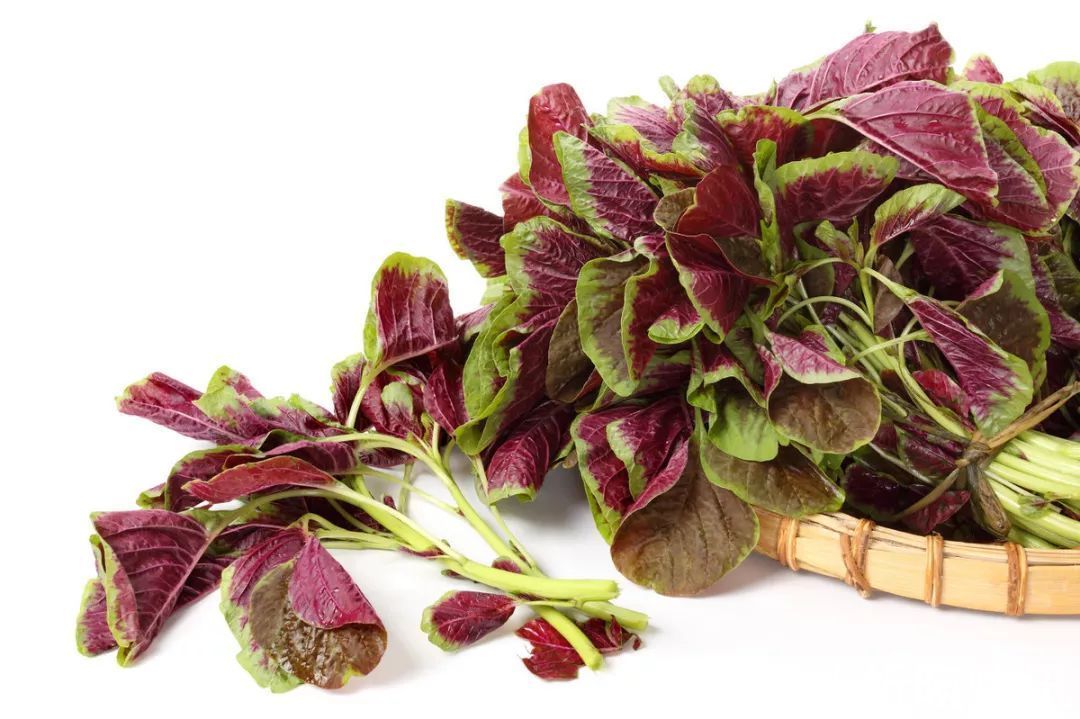 肝脏健康|肝不好的人,会出现5个异常,养肝坚持“三步走”,肝好你更好