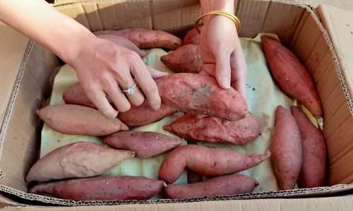 厨娘|秋季遇到这食材,我准买50斤,营养特全面,每天吃点,对身体特好