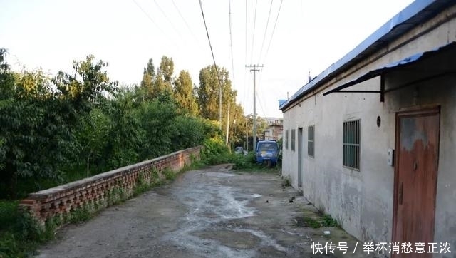 书魂·张柔:轻财重书,《金史》得用(上)韦力撰