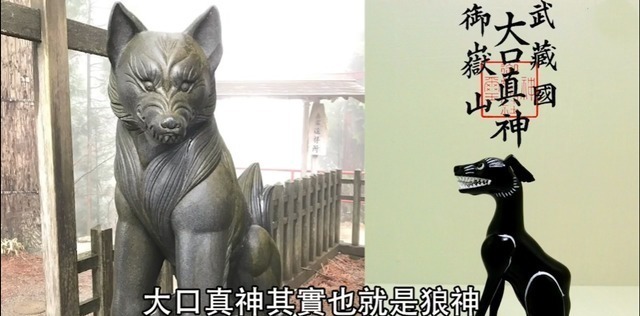 霸王色|海贼王1020话:大和的果实能力公布!粉丝:怕啥来啥,真是白眼狼