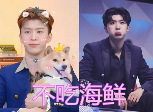 王甜甜不吃蘿卜,范丞丞不吃海鮮,Lisa不吃芒果,看到千璽引起共鳴