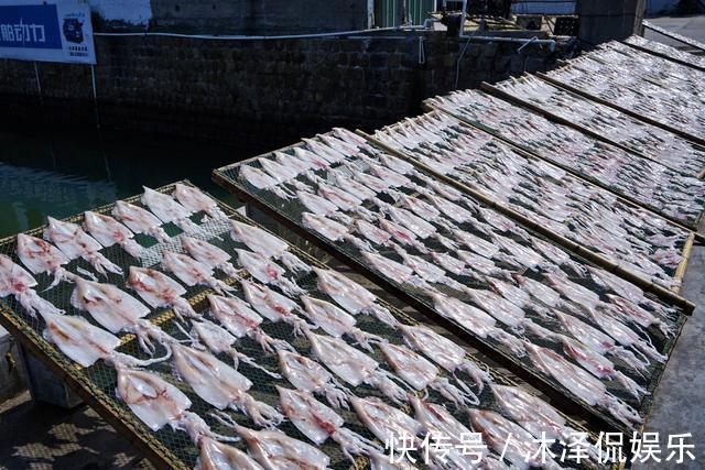 晓岚|在美丽的南澳岛旅行，遇渔民为钓鱿鱼在海上连漂7天，却挣得很少