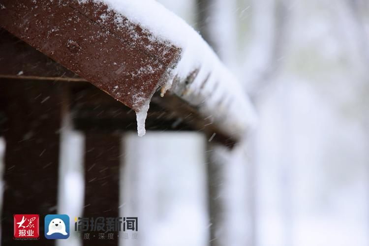 雪景|立冬至瑞雪来 滨州各县市区换素颜