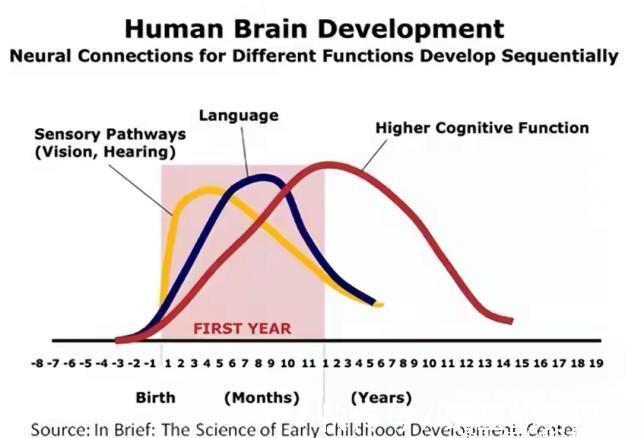 教授|哈佛大学教授:孩子3岁前就有高智商表现,若占一个就很幸运
