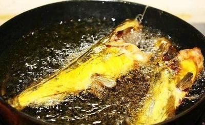 腥味|不管炖什么鱼,都不要放这“两种调料”,否则鱼很腥很难吃