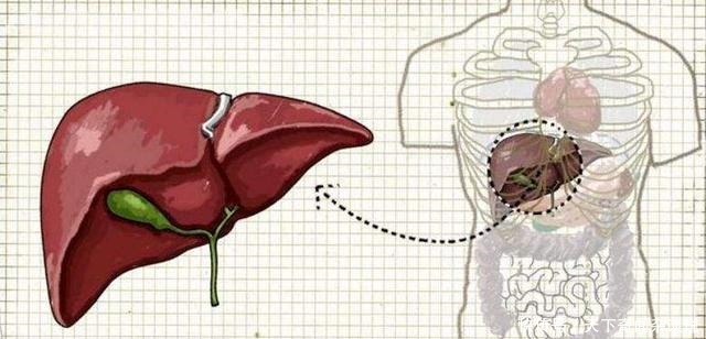 炒蒜苔前用焯水吗难怪蒜苔又硬又不入味,这样做,美味又健康