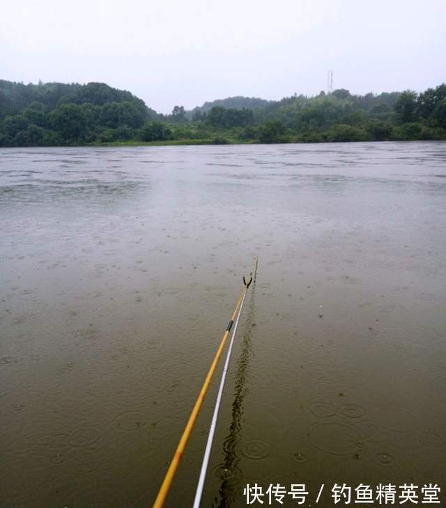 袖钩|冬天的白条比夏天还多,掌握方法,想吃多少钓多少