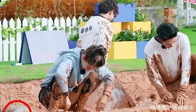 小名|黄旭熙叫杨颖姐姐，郑恺直呼她小名，毕雯珺对她称呼令观众爷青回