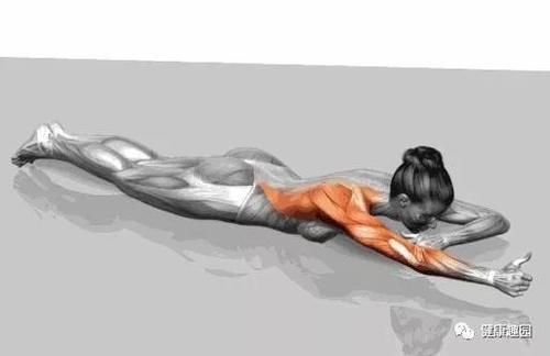 肱三头肌|肌肉群锻炼动作示意图，想练什么对号入座！