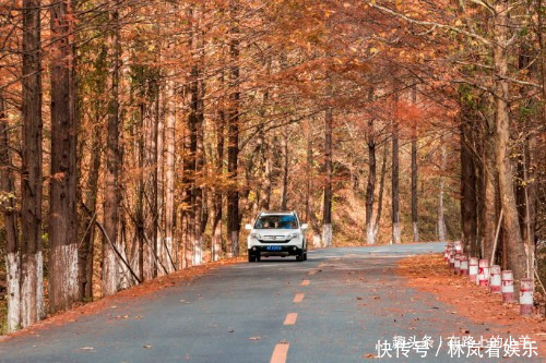 大唐盛世|秦岭山中的秘境，有中国最美乡村之称，不收门票还没有几个游客