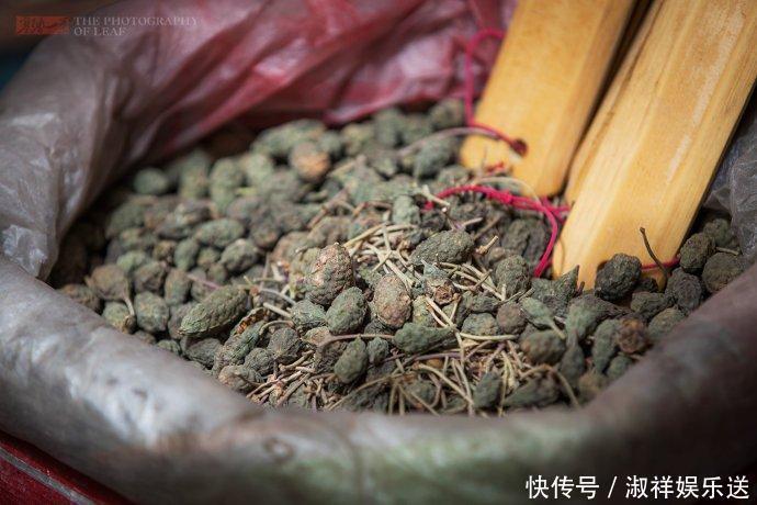 新疆|新疆库车土郎中，用草药为人治病几十年，彰显中华医术的博大精深