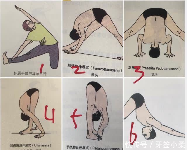 瑜伽|让我用群里朋友的亲身经历告诉你：基础的重要性！练后弯之前必看