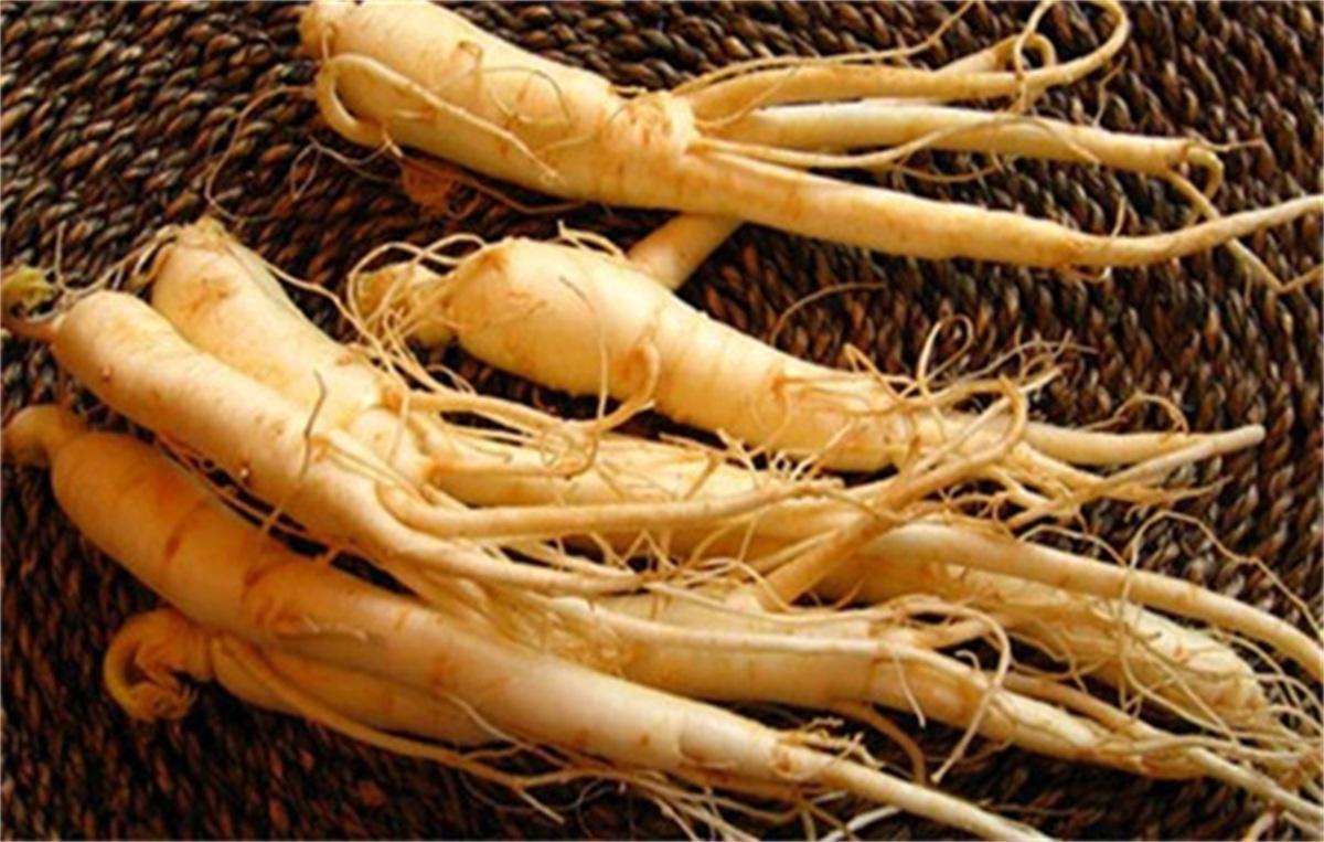 家庭泡酒技术：西洋参泡酒技术，西洋参泡酒比例是多少？