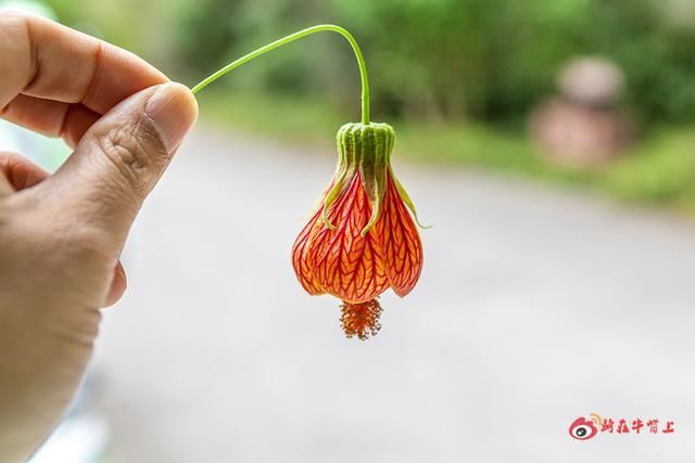 贺州被称为广西的后花园，这些景点不能错过，记得去打卡