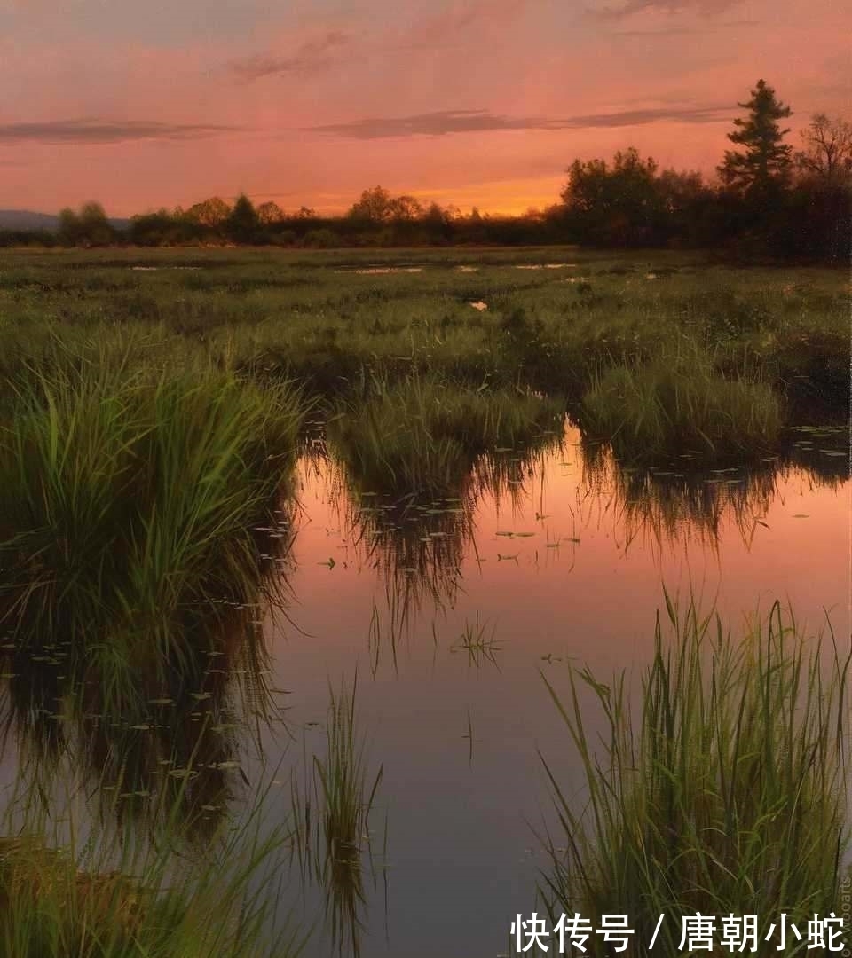 我是谁|艺术家的魔法——凝固最美的时刻,看看什么是真正的“风景如画”