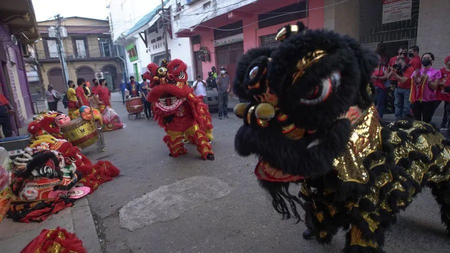 马来西亚#全球连线 | 当国际“狮王”遇上中国非遗传承人：虎年，就要舞虎！