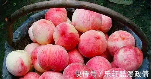 冷藏|你知道这个小技巧吗，食物不管放多久都不会坏，快快学起来吧