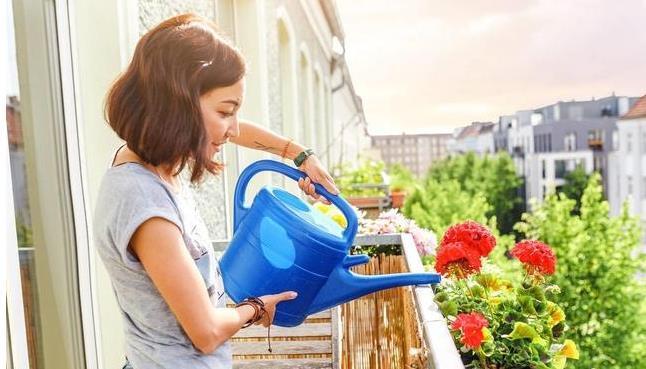 养花难?记住这四个小技巧,啥花都能长得旺