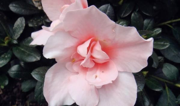 百搭|马尾这样扎百搭又实用,发量多少都能扎,适合所有年龄的女人