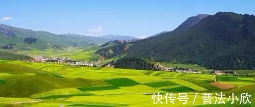 职权|补偿安置，无需申请必须履职！