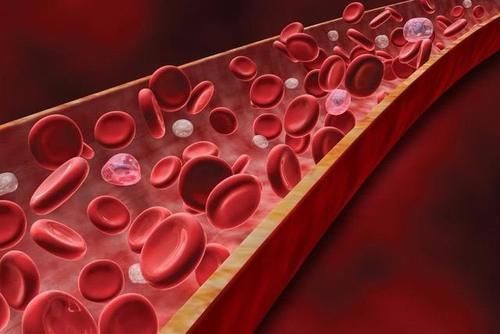 高血脂|多走路能够“降脂”吗?医生提醒:常吃这3种食物或比走路还好