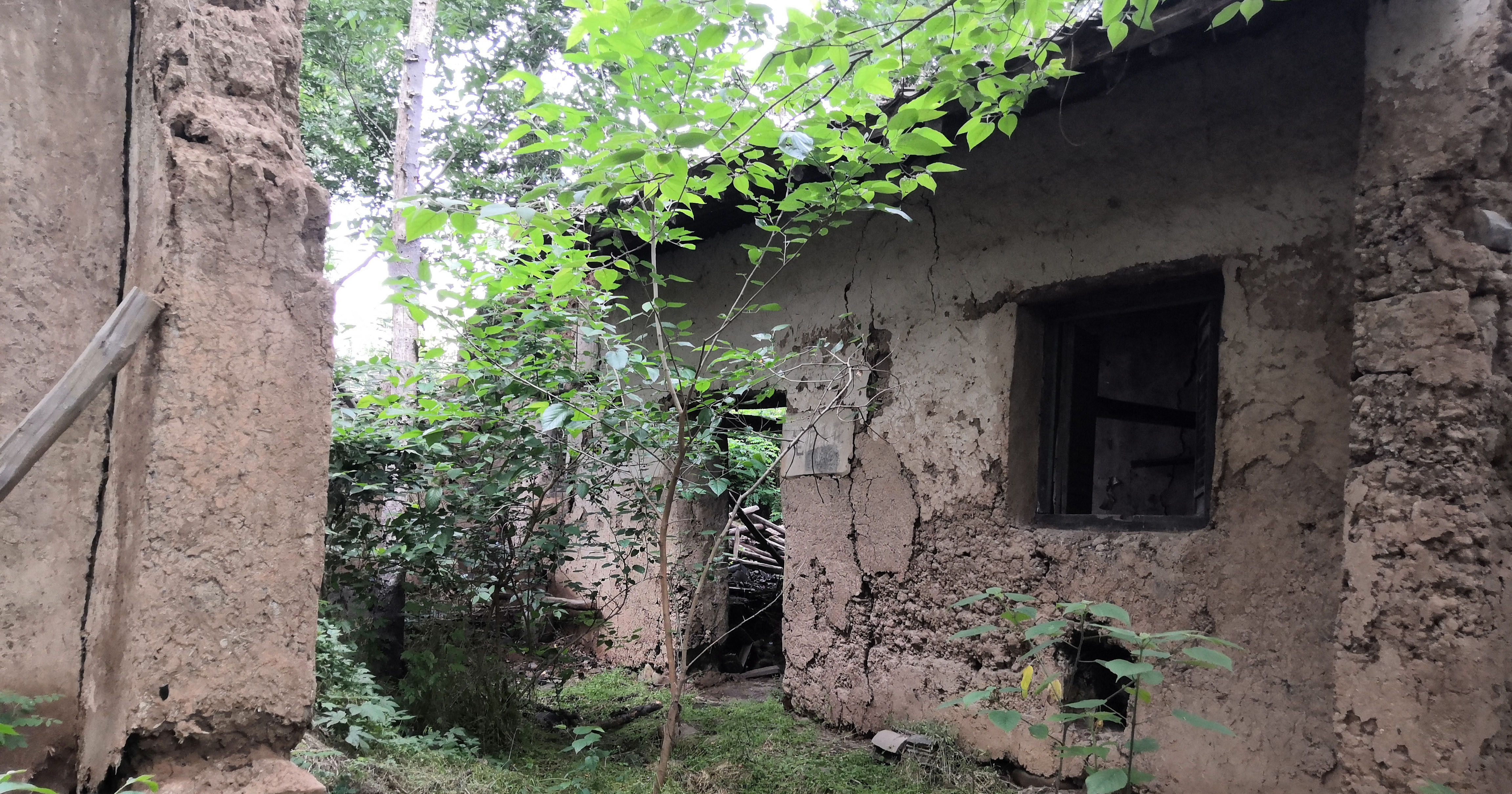 秦岭密林中发现个破宅子，可能有隐士在此住过，阴森森的能拍鬼片