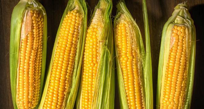 百合干|女人有小肚子，这3种食物经常吃，瘦成小腹婆，吃出好气色