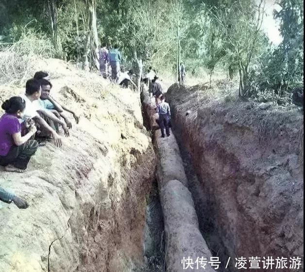 树化玉|亿万年前的宝贝,形似冰种翡翠,估值数百亿