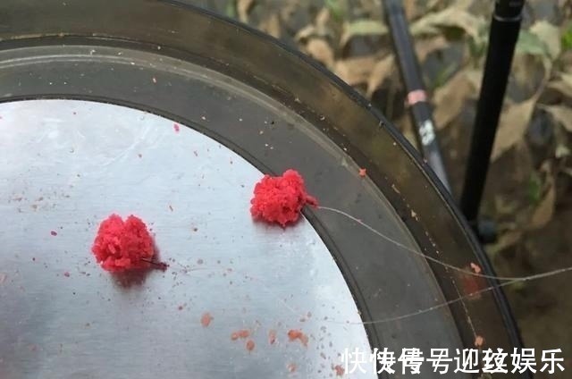 拉饵|难怪你的饵团一拉就散，原来是少了这一步！新手开拉饵须知