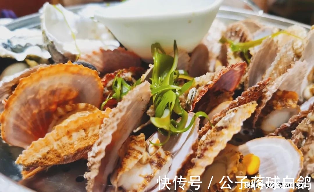 啤酒|一顿海鲜大餐才是来青岛的终极目的