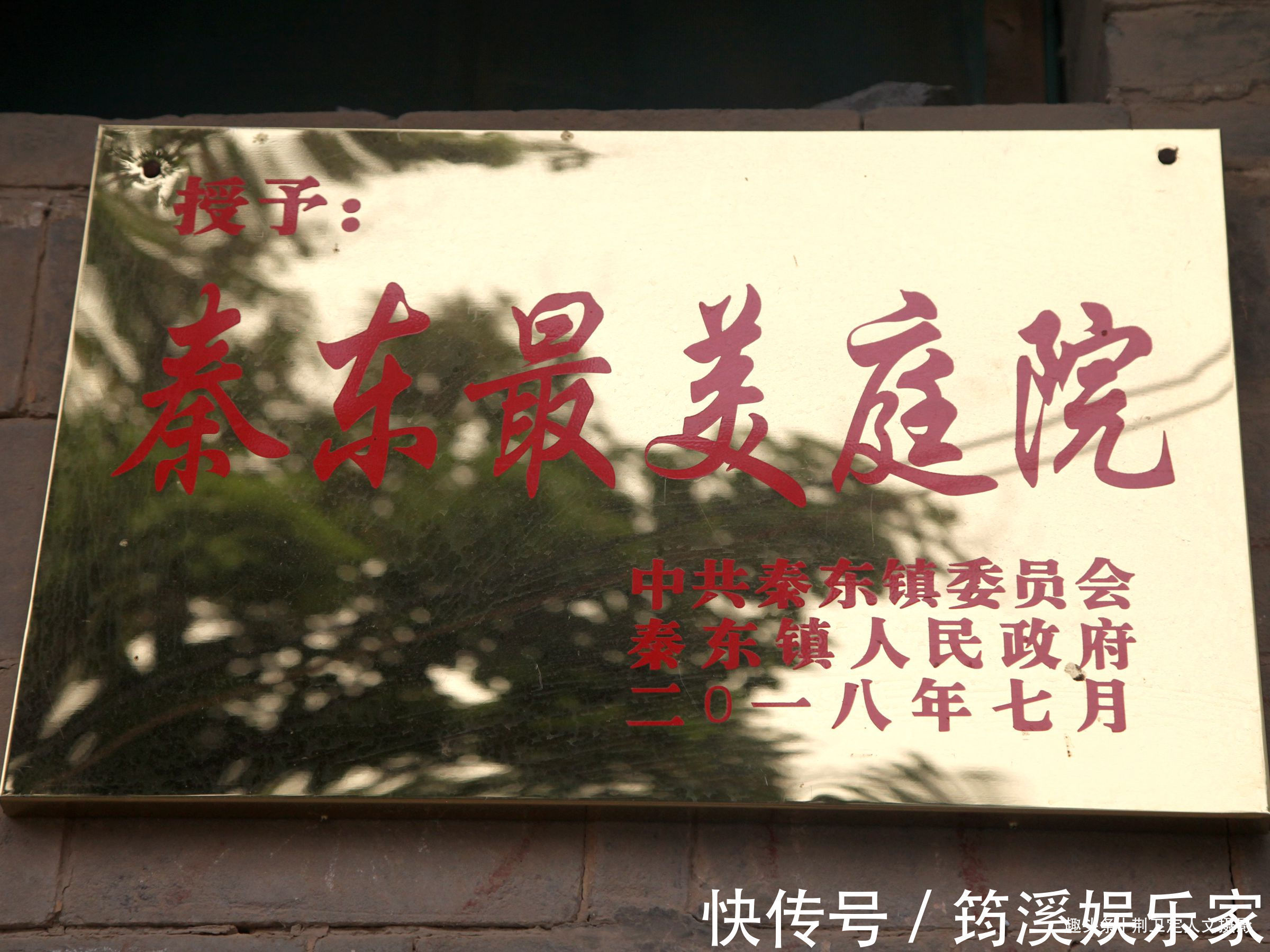 后院|6旬农民大妈家长出1棵野人参,枝繁叶茂万元不卖,看看啥样