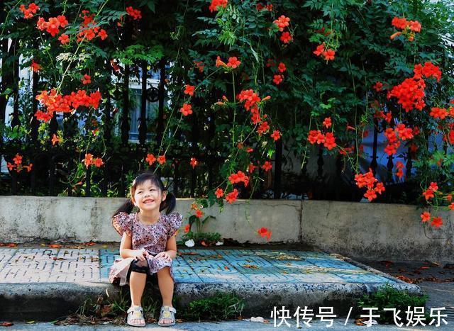 此花俄罗斯原产,谷雨后种2棵,落土就活,花开230天不落!