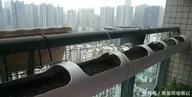 开槽|阳台别再晒衣服了,用一根水管,就能种出全家人吃的菜!
