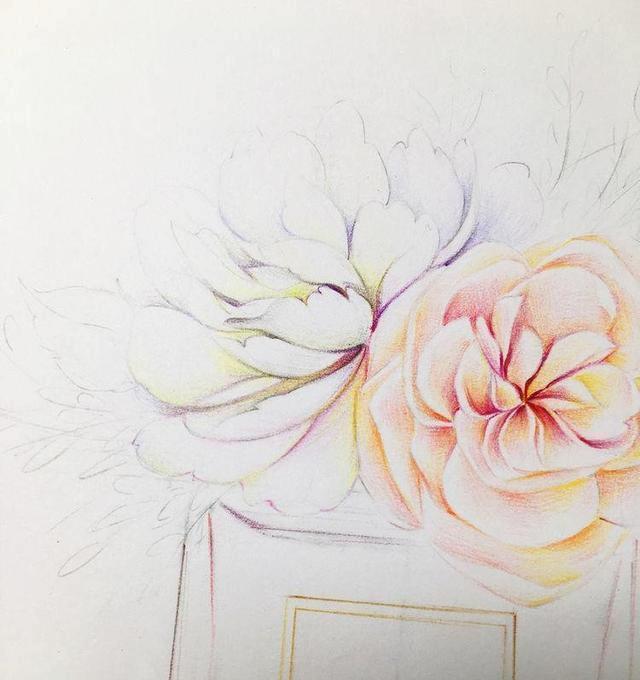  香水瓶|画画如何不“歪”，运用整体概括思维找型，香奈儿CoCo，彩铅教程