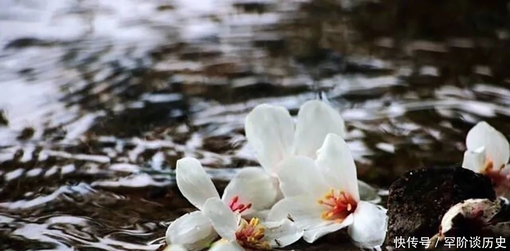 陆游|小楼一夜听春雨,这看似耳熟能详的一句诗,你知道它的下一句吗?