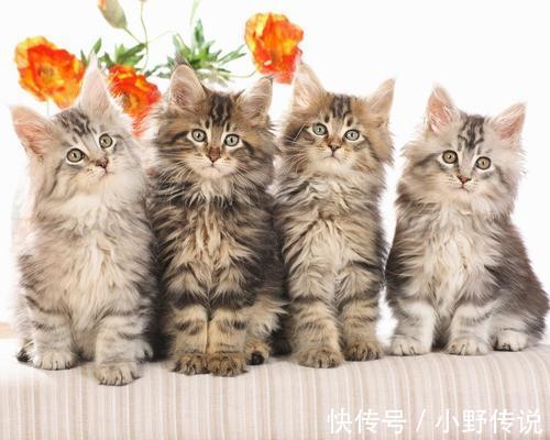 |幽默笑话:刚到公司我就跟同事抱怨孩子不乖乖吃药,我都快愁死了