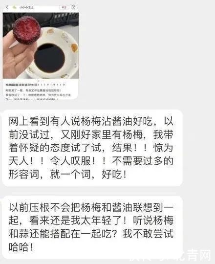 杨梅蘸酱油更好吃？有人试了，结果…