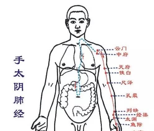  经上班时间|治百病经络大全：身体不舒服了，指导你拍哪条经络！疾病一扫光