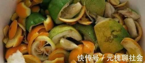 植物|君子兰总是养不活往花盆里加点“好东西”，让植物越长越茂盛