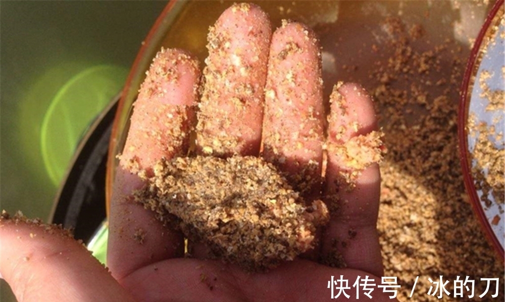 冬季钓鱼,上几条鱼就停口?是打窝之后少了一步,这步骤冬季独有