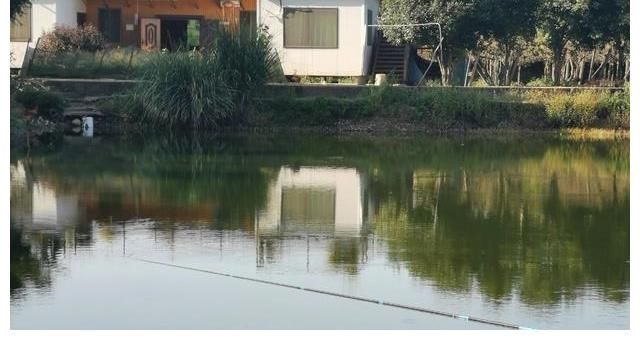 钓到大鱼总是“拔河”？记住这3个步骤，大大地减少跑鱼！