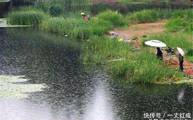 大雨|夏季钓鱼遇上下雨天，爆护的机会来了，钓位这样选，过足连竿瘾