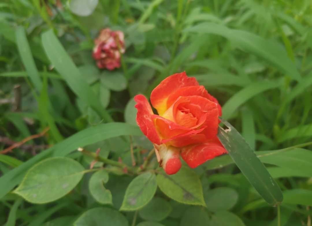 曾国藩:做人低调内敛,交友志趣远大,用劳谦廉约束自己