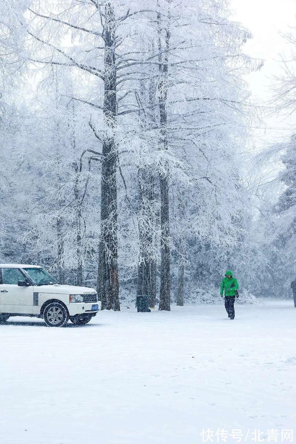 云海|太美了！台州最新雪景！括苍山跌至-10℃，再现云海奇观