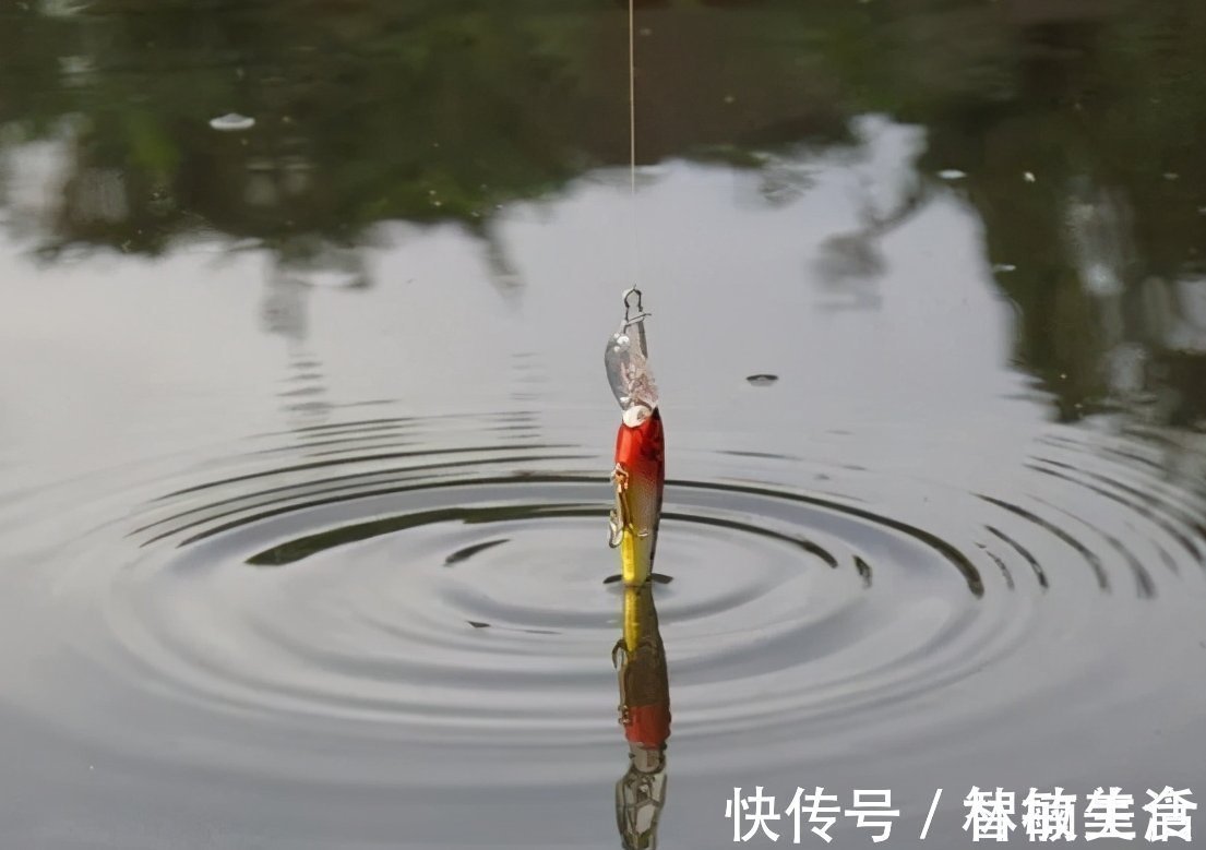 水域|钓鱼调漂技巧!浮漂调漂别搞得太复杂,一看就会调漂方法!