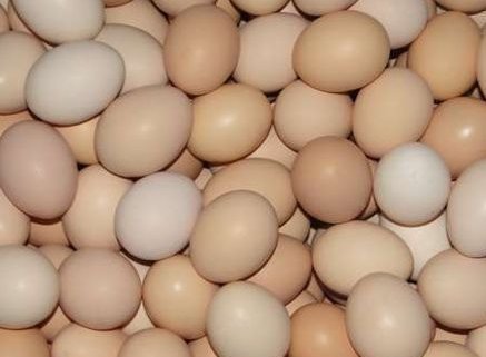 男女|立秋后,鸡蛋和此物一起煮,腰不痛了,腿不软了,男女可以试试