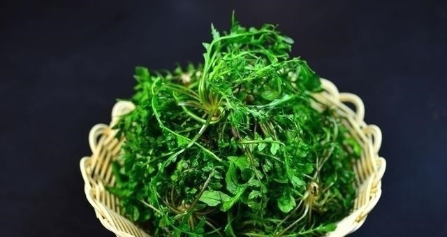 近视|孩子近视还一直涨?不要愁,记住3做2不做,近视度数自己降下来